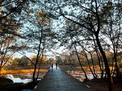 -西溪南古村落景区