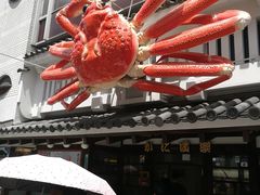 -蟹道乐(道顿堀本店)