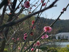 -龙寺生态园