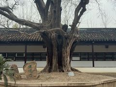 -苏州文庙(姑苏区)