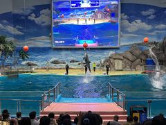 -福州罗源湾海洋世界旅游区