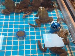 -黑金·寻焰自助百汇·烤肉·火锅(中街店)