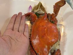 -小平岛開海水饺(浑南店)