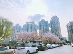 -喷泉公园