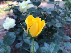 -人民公园(罗湖区)