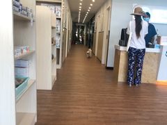 -瑞派紫金宠物医院24小时·骨科·中兽医·重症转诊中心(番禺大石院)