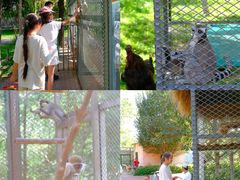 -水上乐园·欢乐世界