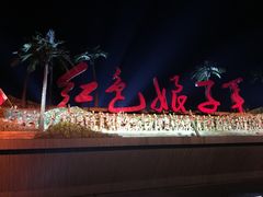 -三亚红色娘子军演艺公园景区