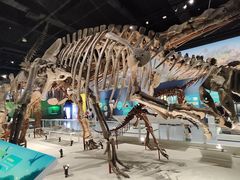 -国家自然博物馆