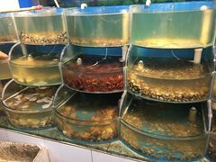 -同道蒸汽海鲜烧烤自助(刘庄夜市店)