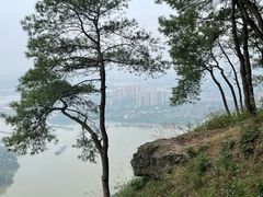 -铁山坪森林公园