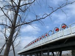 -大兴滨河森林公园