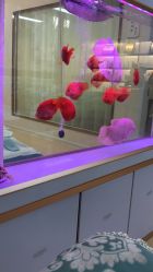 -痘庄科学祛痘国际连锁机构