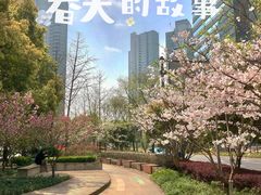 -上海环球金融中心骑迹50年环球之旅