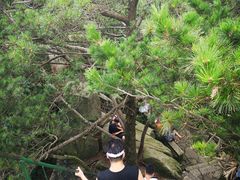 -罗田薄刀峰风景区