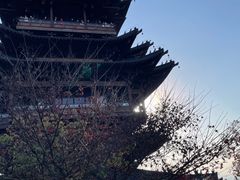 -杭州半山国家森林公园