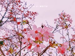 -宝墨园景区
