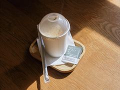 -滚猫咖啡·猫咖·猫友好撸猫(未来城店)