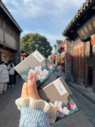 -戴春林