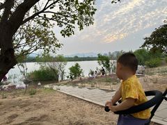 -永定河休闲森林公园