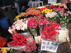 -昆明国际花卉拍卖交易中心