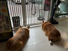 -平行世界·猫咖(首经贸店)