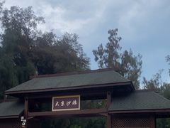 -大京沙滩