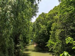 -同里湖度假村(二期店)