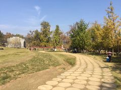 -千年银杏谷文化旅游区