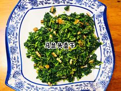 -印象江南(东栅店)