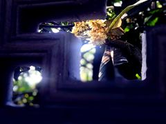-雨花胜境