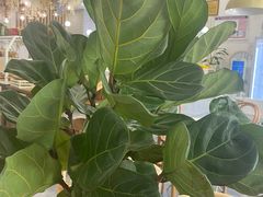 -嗒令甜品·主题融合料理餐厅(首座时代店)