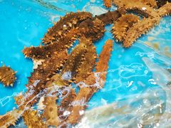 -万宝海鲜舫(劳动公园店)