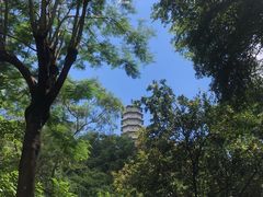 -深圳国际园林花卉博览园