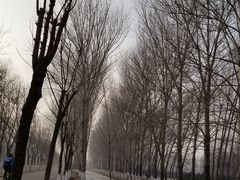 -东郊湿地公园