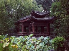 -莲湖公园