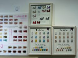 -尤米一站式美甲美睫