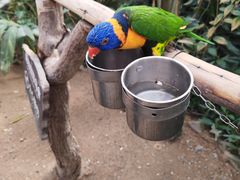 -南宫五洲植物乐园