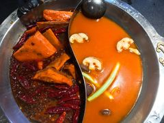 -大龙燚火锅(春熙店)