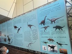 -二连浩特国家地质公园