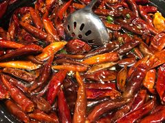 -丹江渔村(望京店)