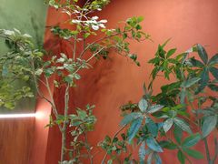 -0048鲜活香辣虾·火锅(铜陵路店)