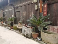 -青林口古镇