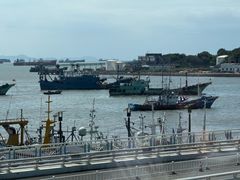 -高佳庄·舟山海鲜(海景旗舰店)