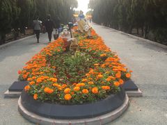 -上海九天陵园-停车场