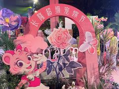 -广州长隆欢乐世界