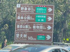 -野象谷景区