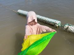 -日照海滨国家森林公园