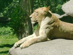 -北京野生动物园