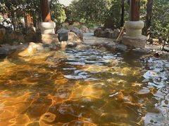 -山湖温泉
